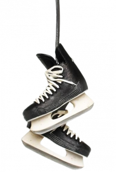 3234_18031_ornement_patins_noir
